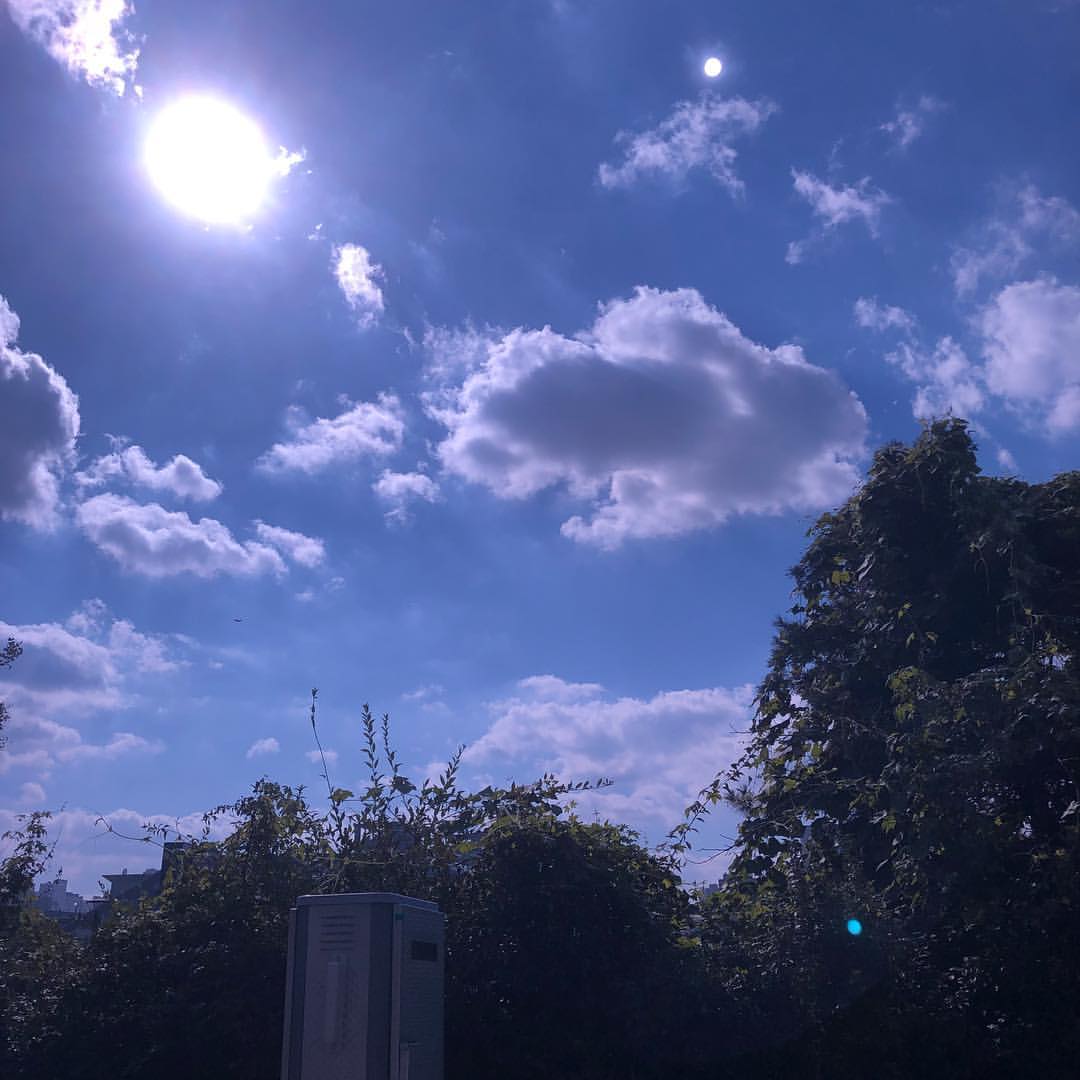 f:id:hitorigoto-5:20200716230730j:plain