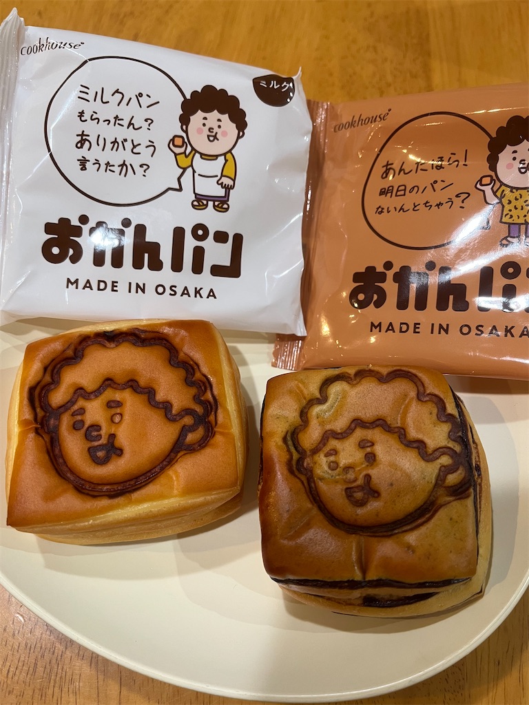 f:id:hitorigotomitainamon:20250303160039j:image