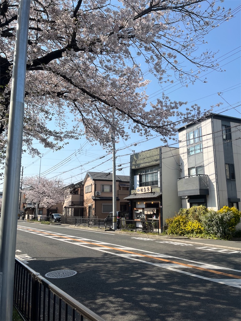 f:id:hitorigotomitainamon:20250409113330j:image