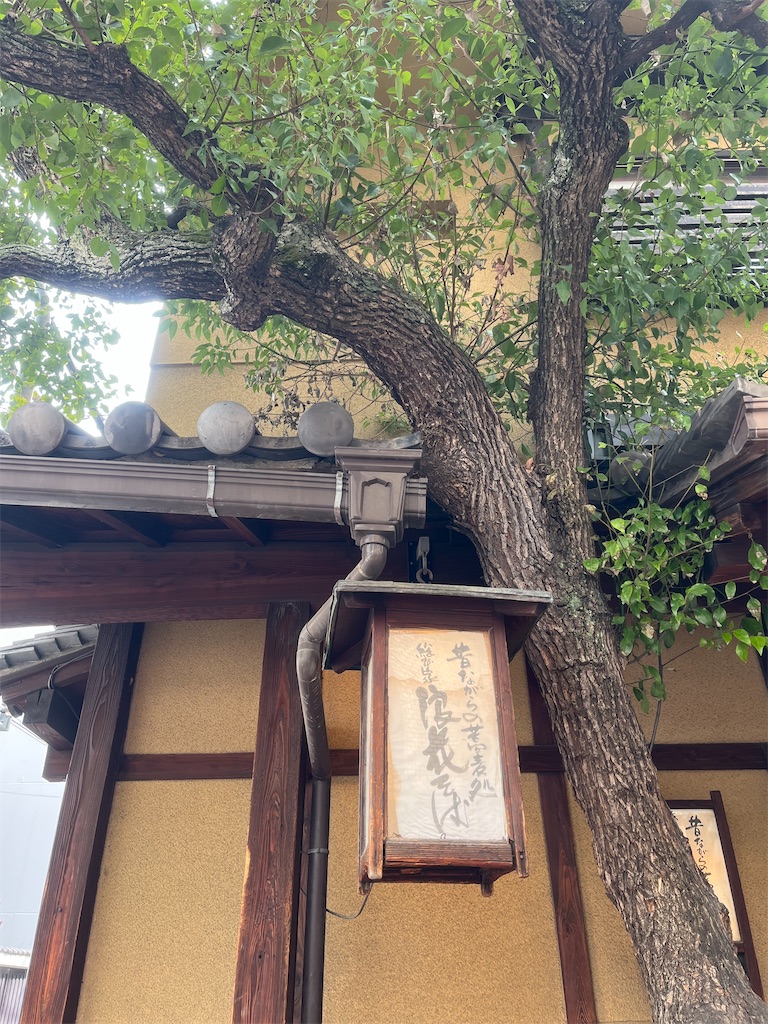 f:id:hitorigotomitainamon:20250502100156j:image