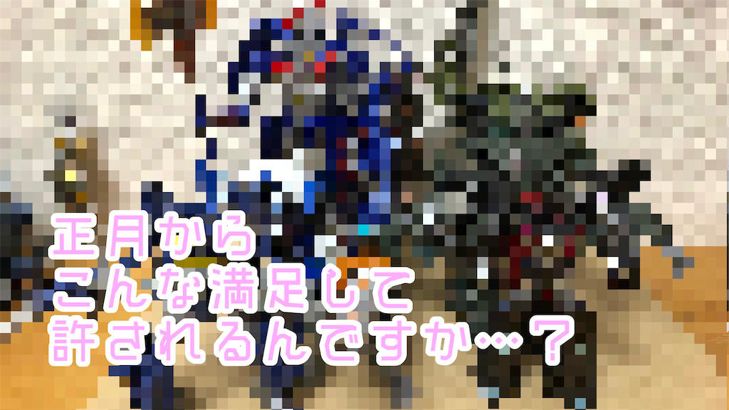 ありえん中身がヤバすぎる！？】駿河屋秋葉原本館 TF福袋【開封