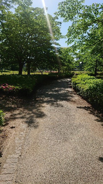 歩いてみたくなる曲がり道 ひとり猫旅日記 歩いてみたくなる曲がり道 ひとり猫旅日記
