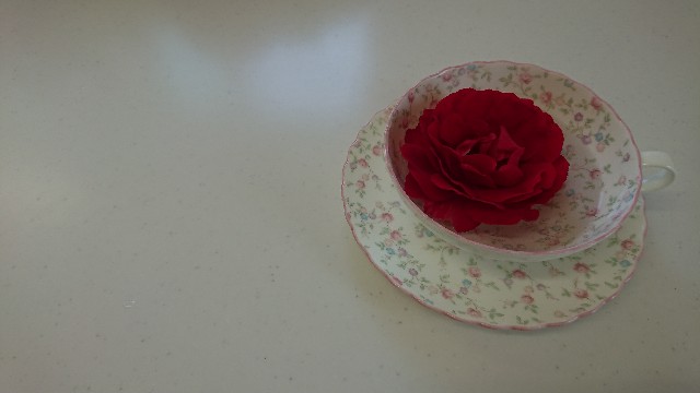 薔薇ティカップに赤薔薇一輪 ひとり猫旅日記