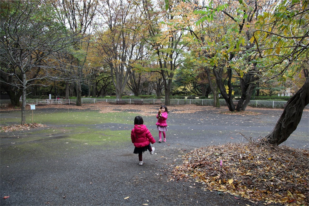 f:id:hitorinojikan:20161123141458j:image f:id:hitorinojikan:20161123141458j:image