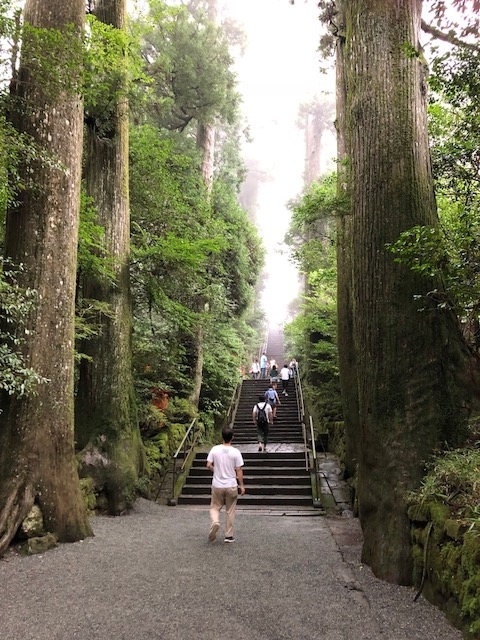 f:id:hitoritozan:20180826232014j:plain f:id:hitoritozan:20180826232014j:plain