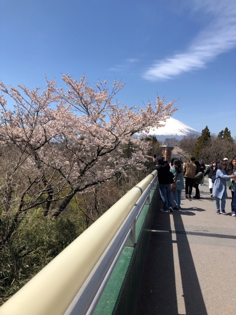 f:id:hitoritozan:20190405213419j:plain f:id:hitoritozan:20190405213419j:plain