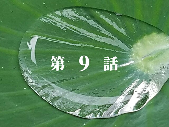 f:id:hitotobi:20170808040652j:image f:id:hitotobi:20170808040652j:image