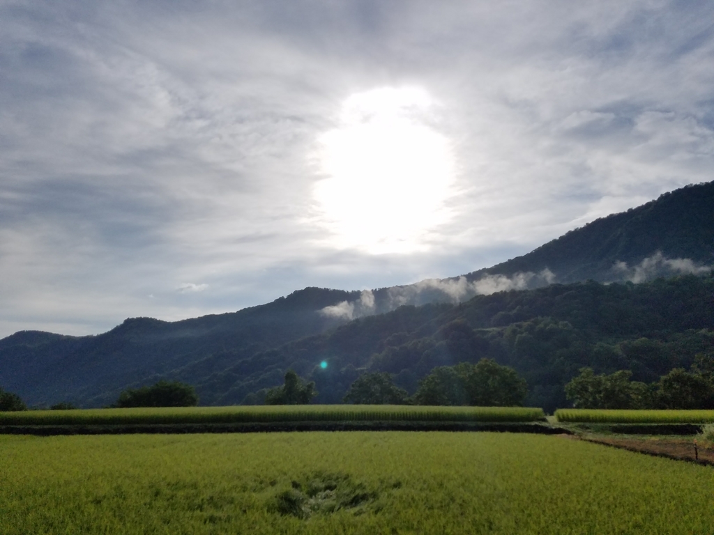 f:id:hitotobi:20180908124808j:plain