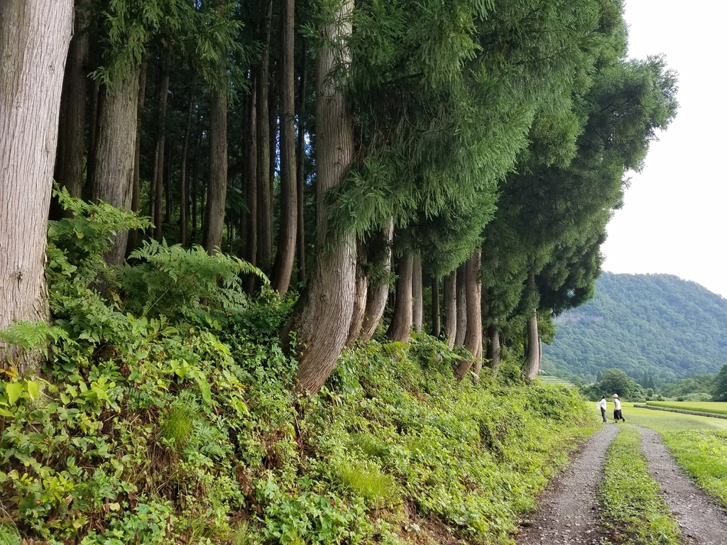 f:id:hitotobi:20180908130630j:plain