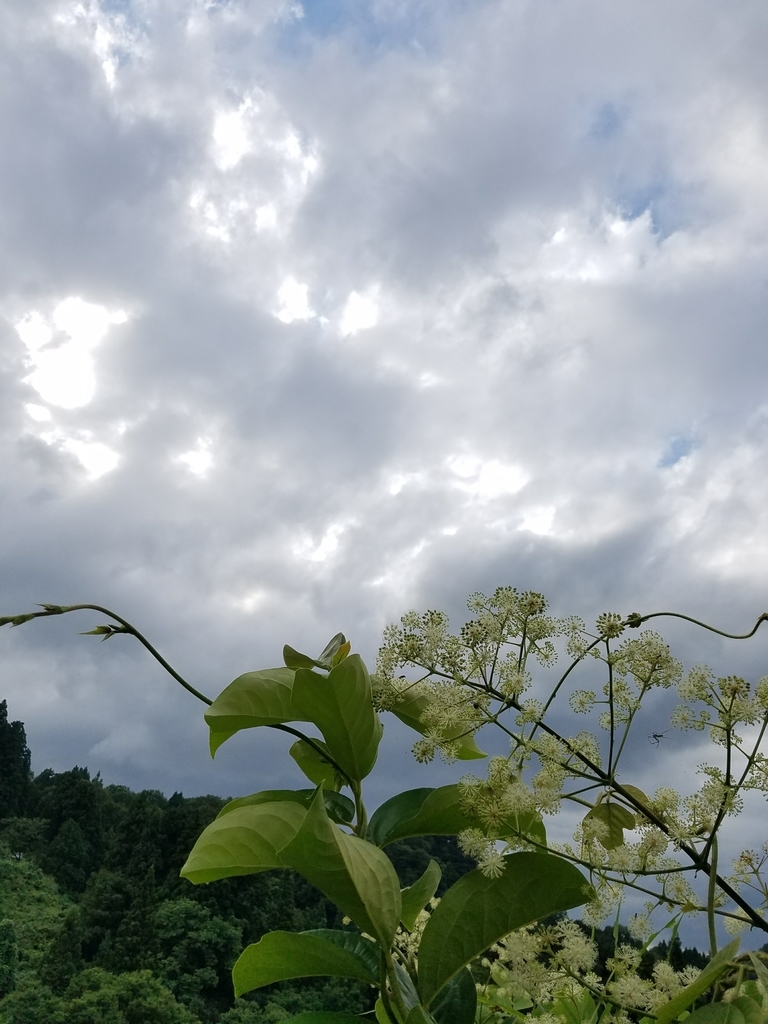 f:id:hitotobi:20180908131329j:plain