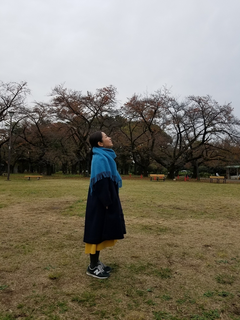 f:id:hitotobi:20181126212559j:plain