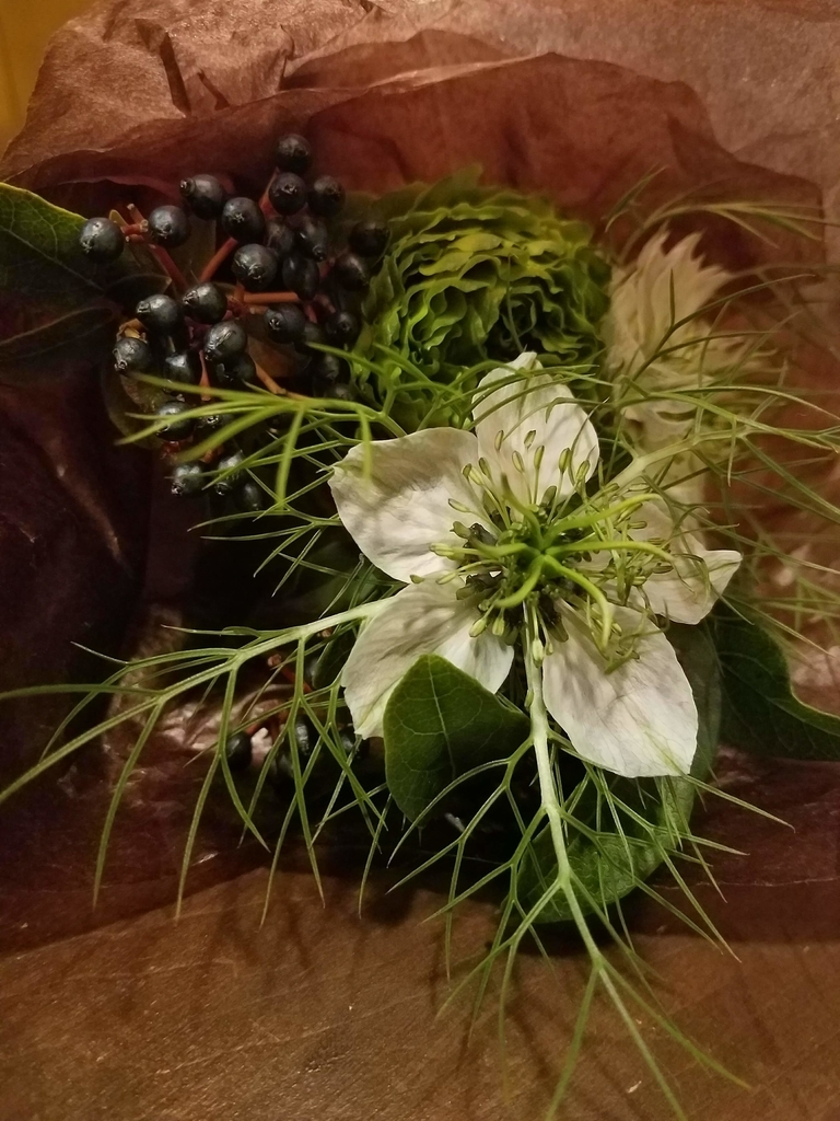 f:id:hitotobi:20190228114631j:plain f:id:hitotobi:20190228114631j:plain