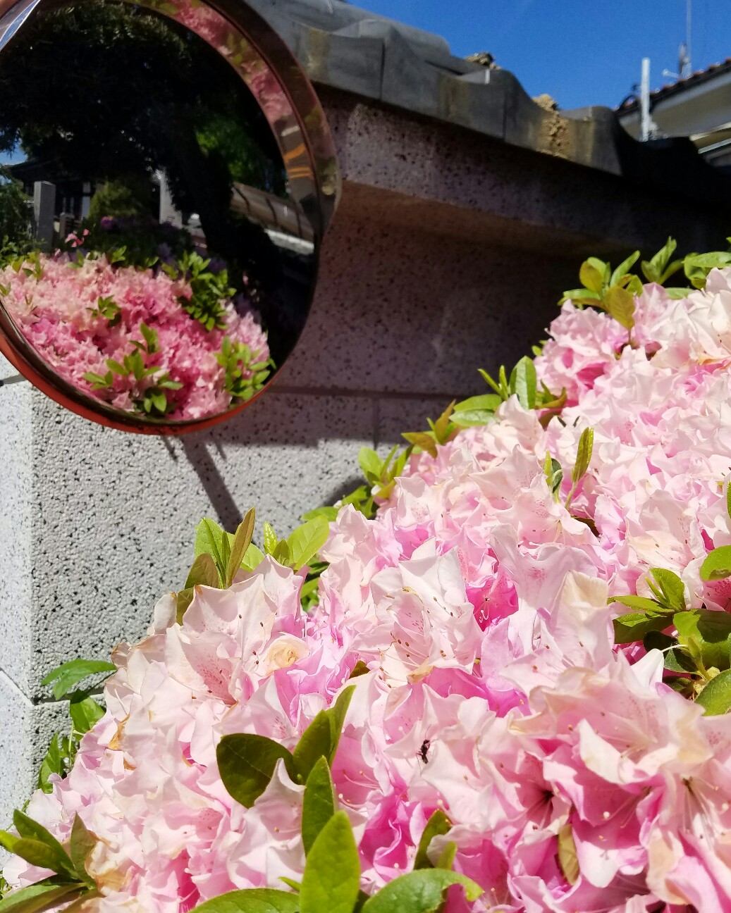 f:id:hitotobi:20190430112213j:image