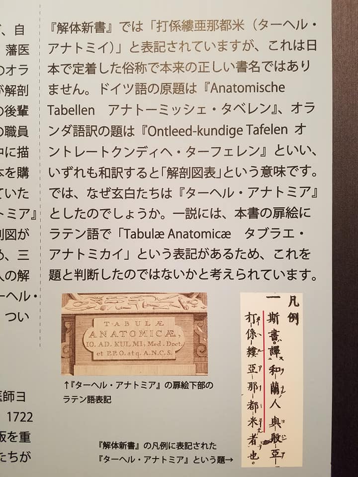 f:id:hitotobi:20190501180352j:plain