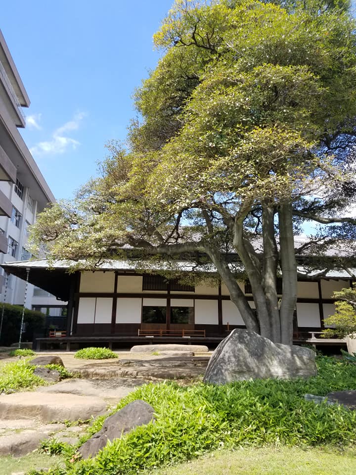 f:id:hitotobi:20190507141244j:plain