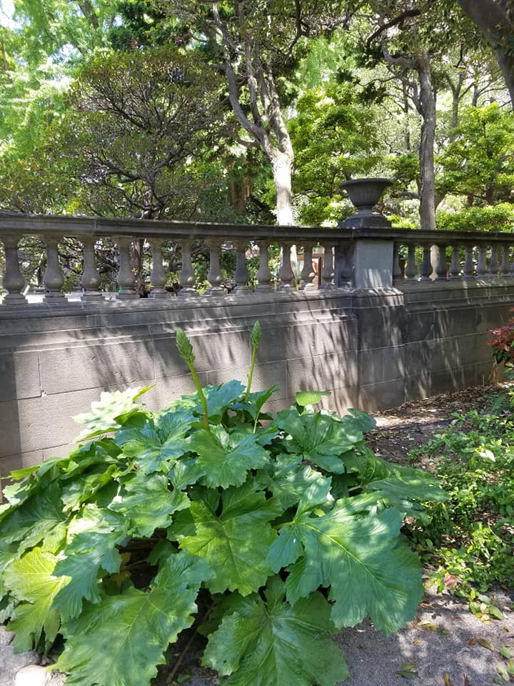 f:id:hitotobi:20190507141903j:plain