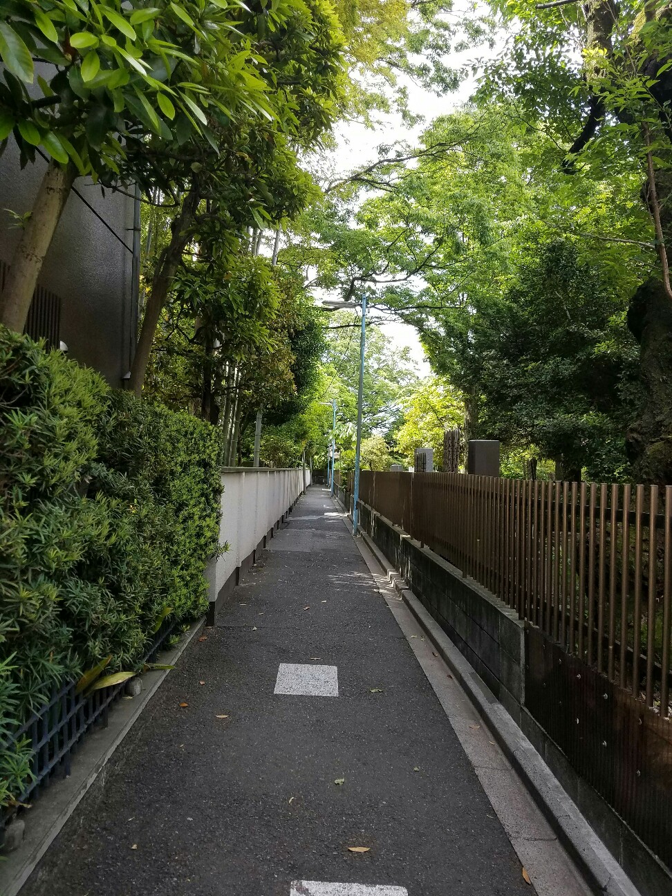 f:id:hitotobi:20190517082653j:image