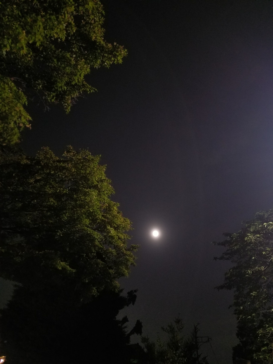 f:id:hitotobi:20190520192244j:plain