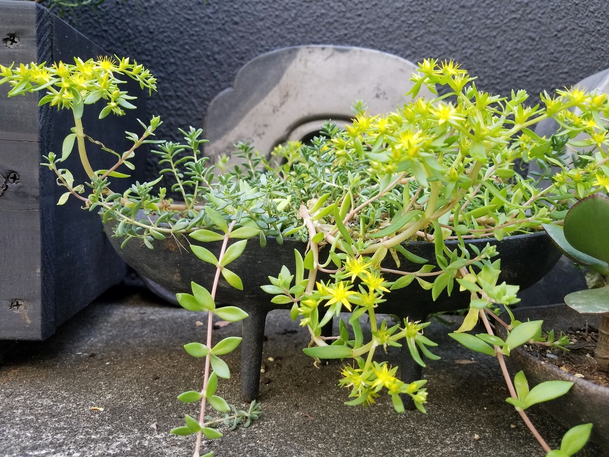 f:id:hitotobi:20190520193057j:plain