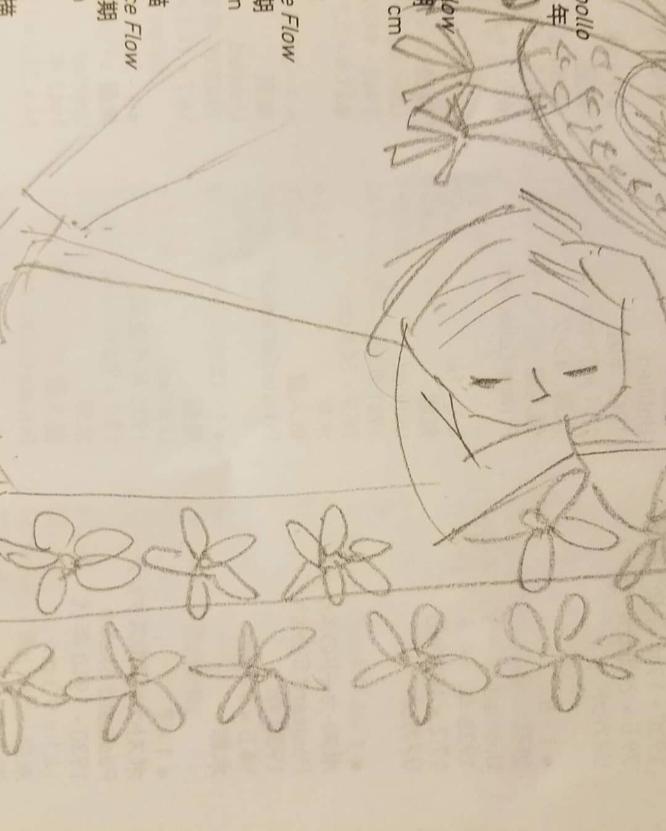 f:id:hitotobi:20190606133350j:plain f:id:hitotobi:20190606133350j:plain