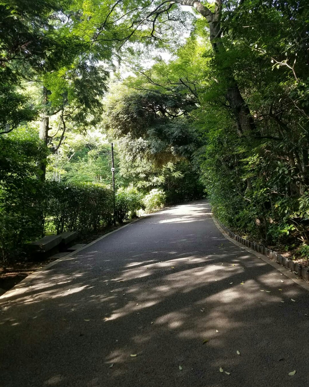 f:id:hitotobi:20190627082756j:image