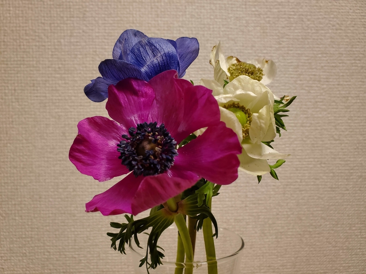 f:id:hitotobi:20200214094856j:plain