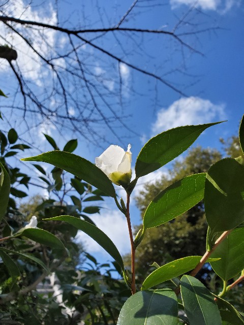 f:id:hitotobi:20200227141714j:image f:id:hitotobi:20200227141714j:image