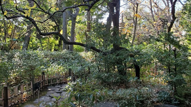 f:id:hitotobi:20201124214103j:image