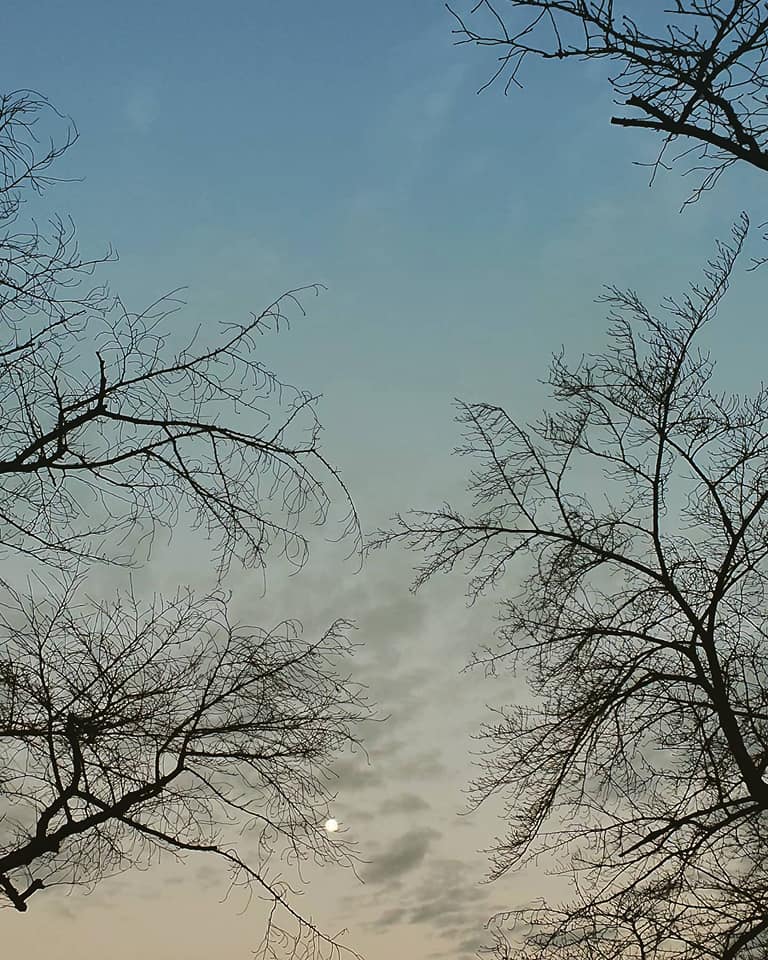 f:id:hitotobi:20210201120228j:plain