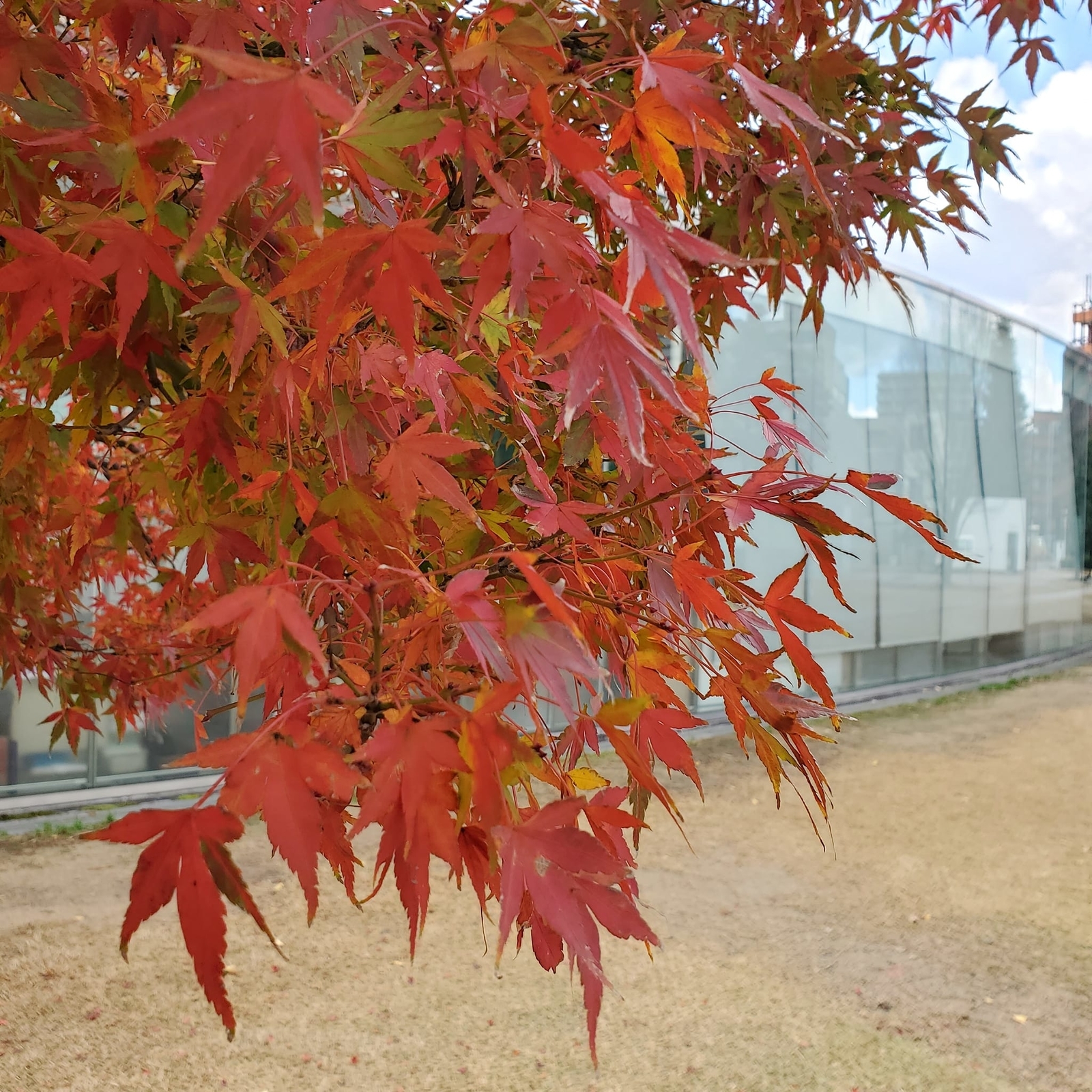 f:id:hitotobi:20220215184737j:plain
