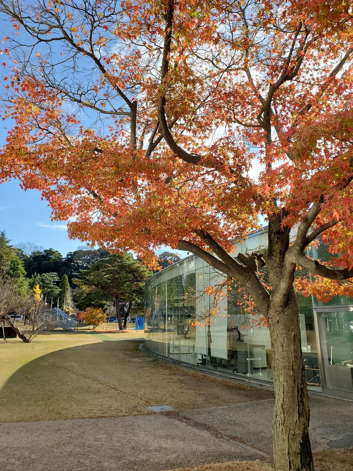 f:id:hitotobi:20220215184805j:plain