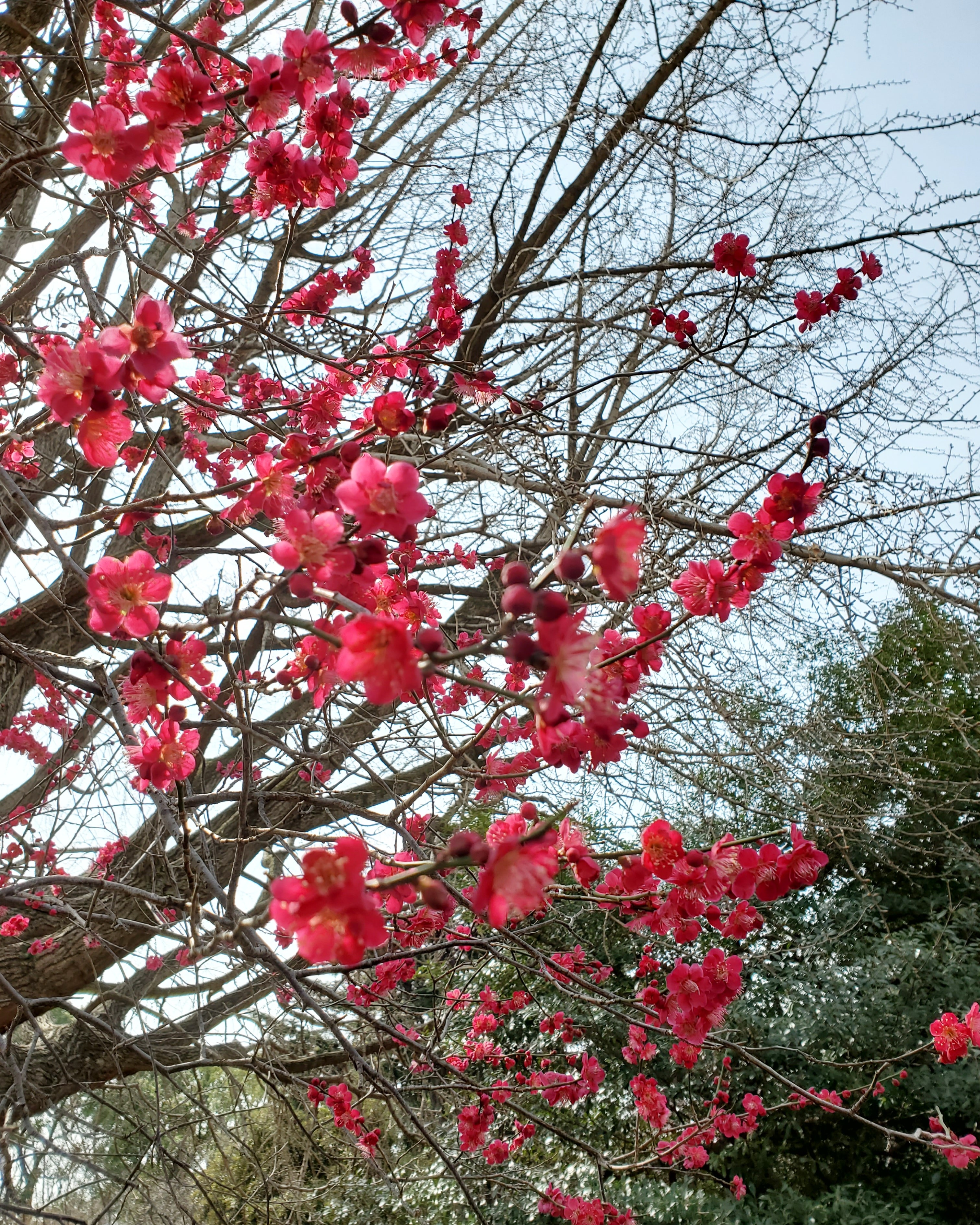 f:id:hitotobi:20220325214516j:image