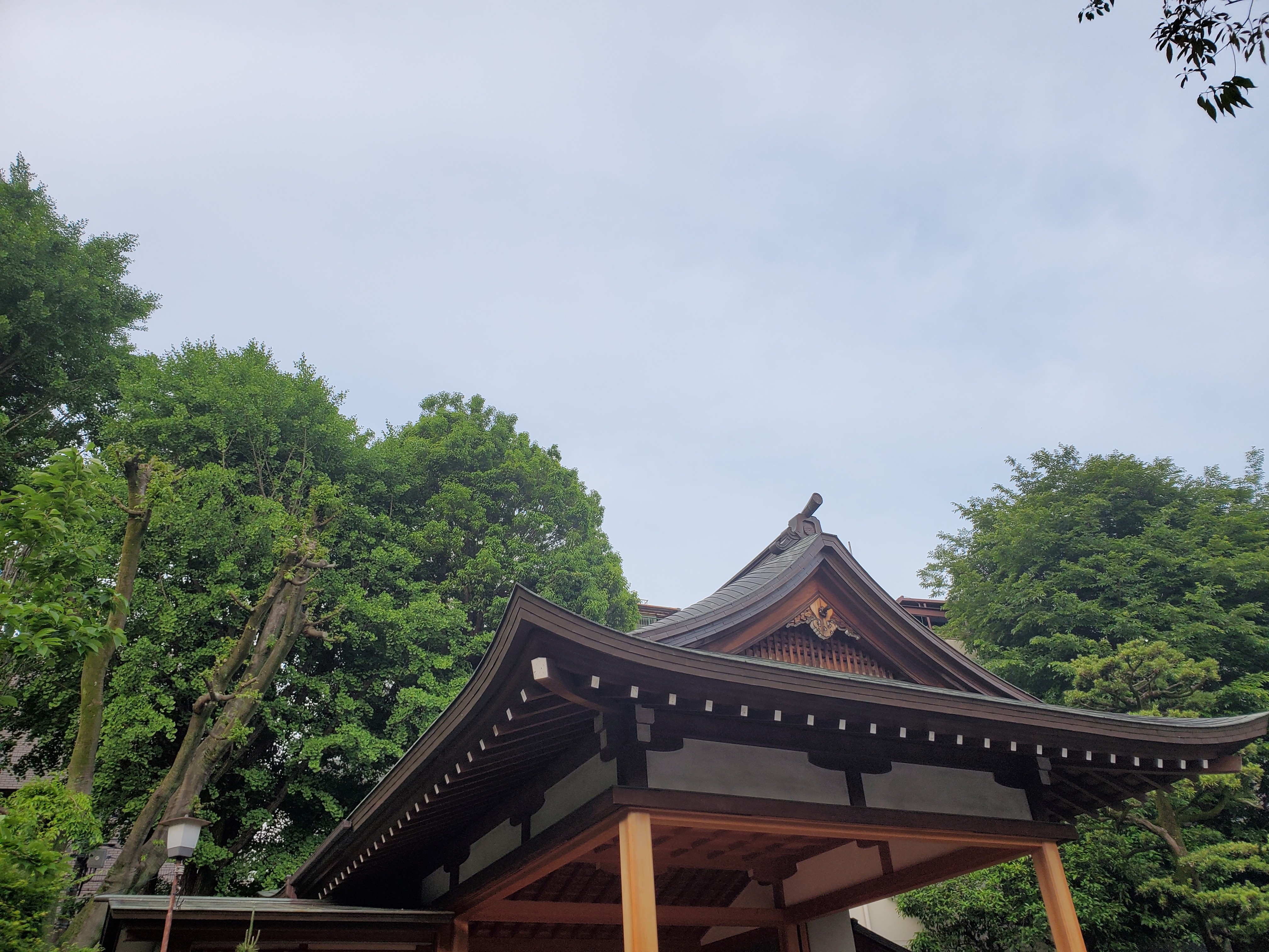 f:id:hitotobi:20220515122545j:image f:id:hitotobi:20220515122545j:image