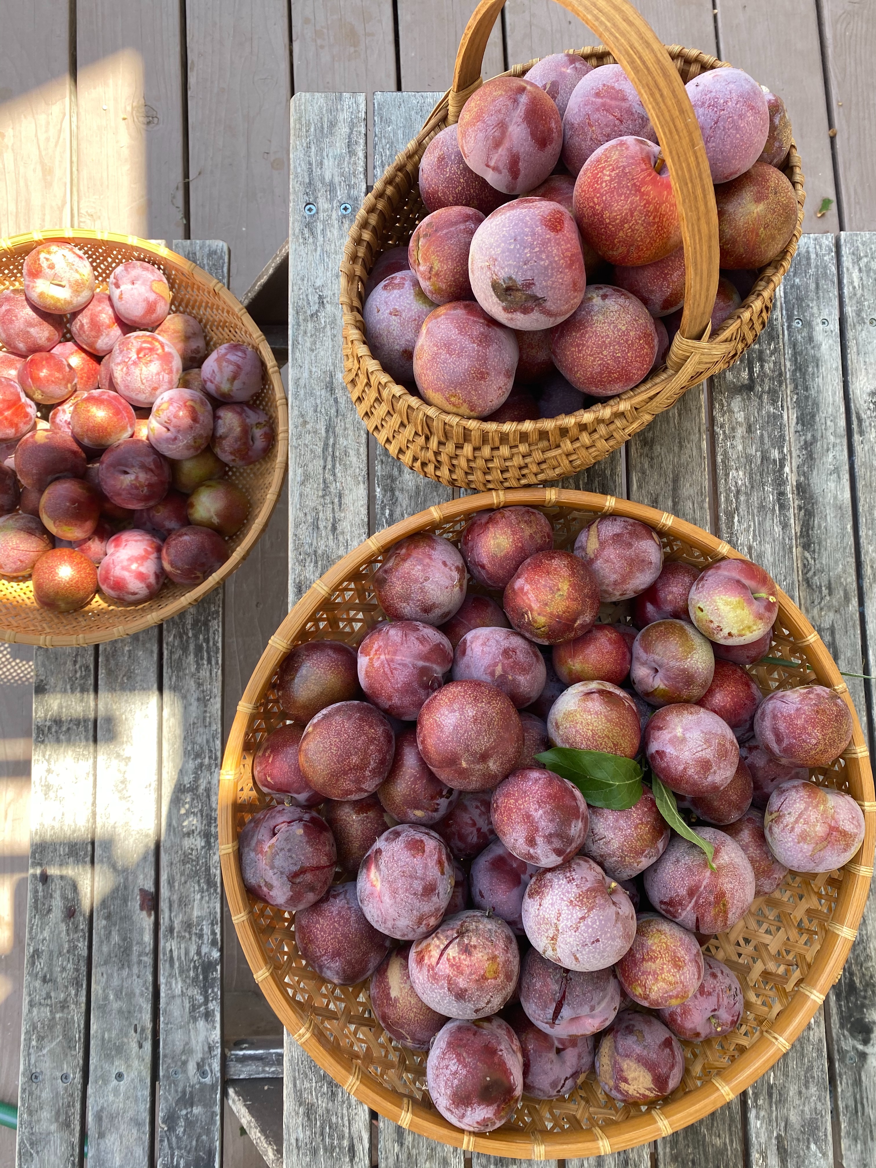 f:id:hitotoshoku:20200720082007j:image f:id:hitotoshoku:20200720082007j:image