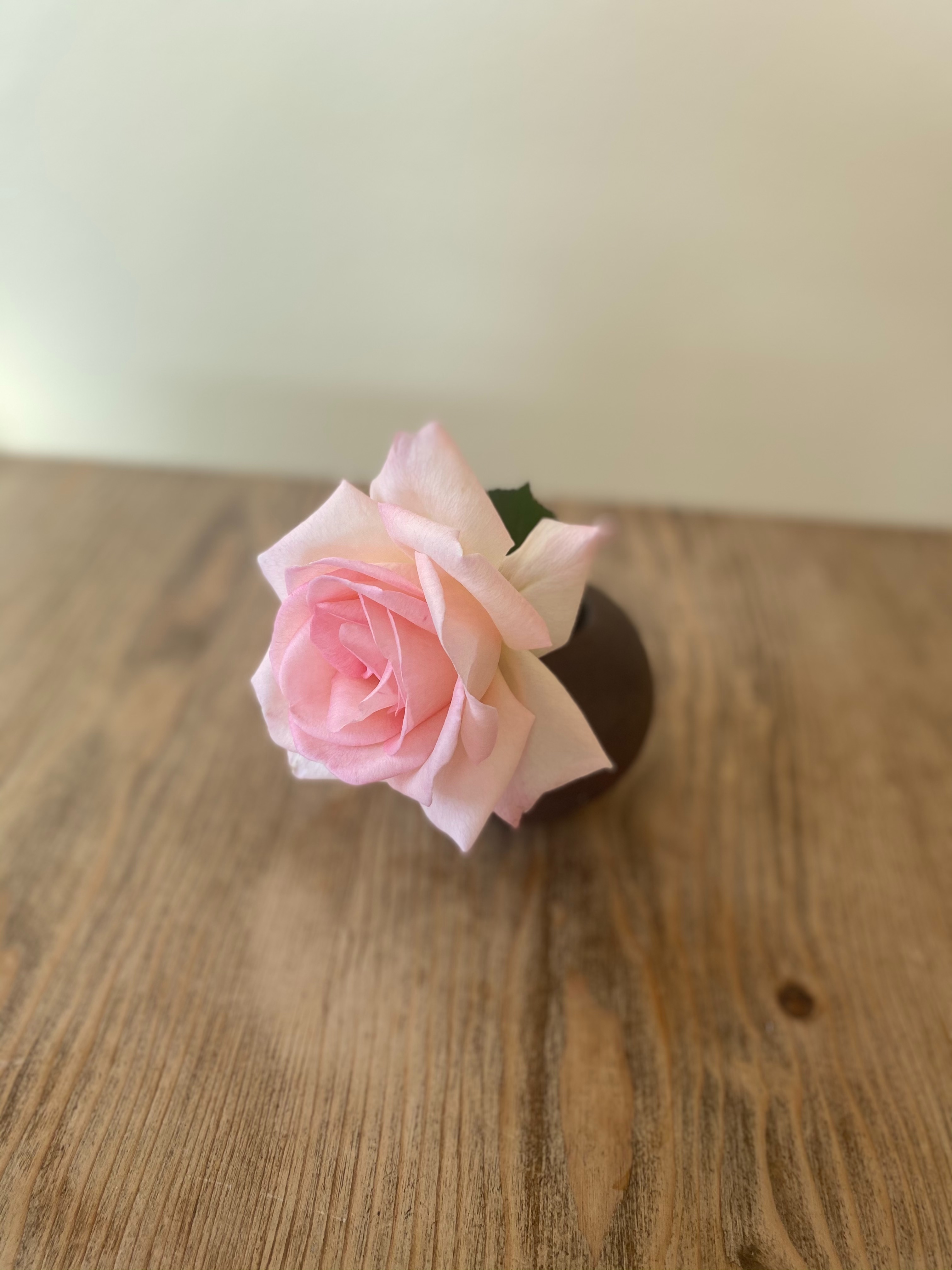 f:id:hitotoshoku:20201210130123j:image f:id:hitotoshoku:20201210130123j:image