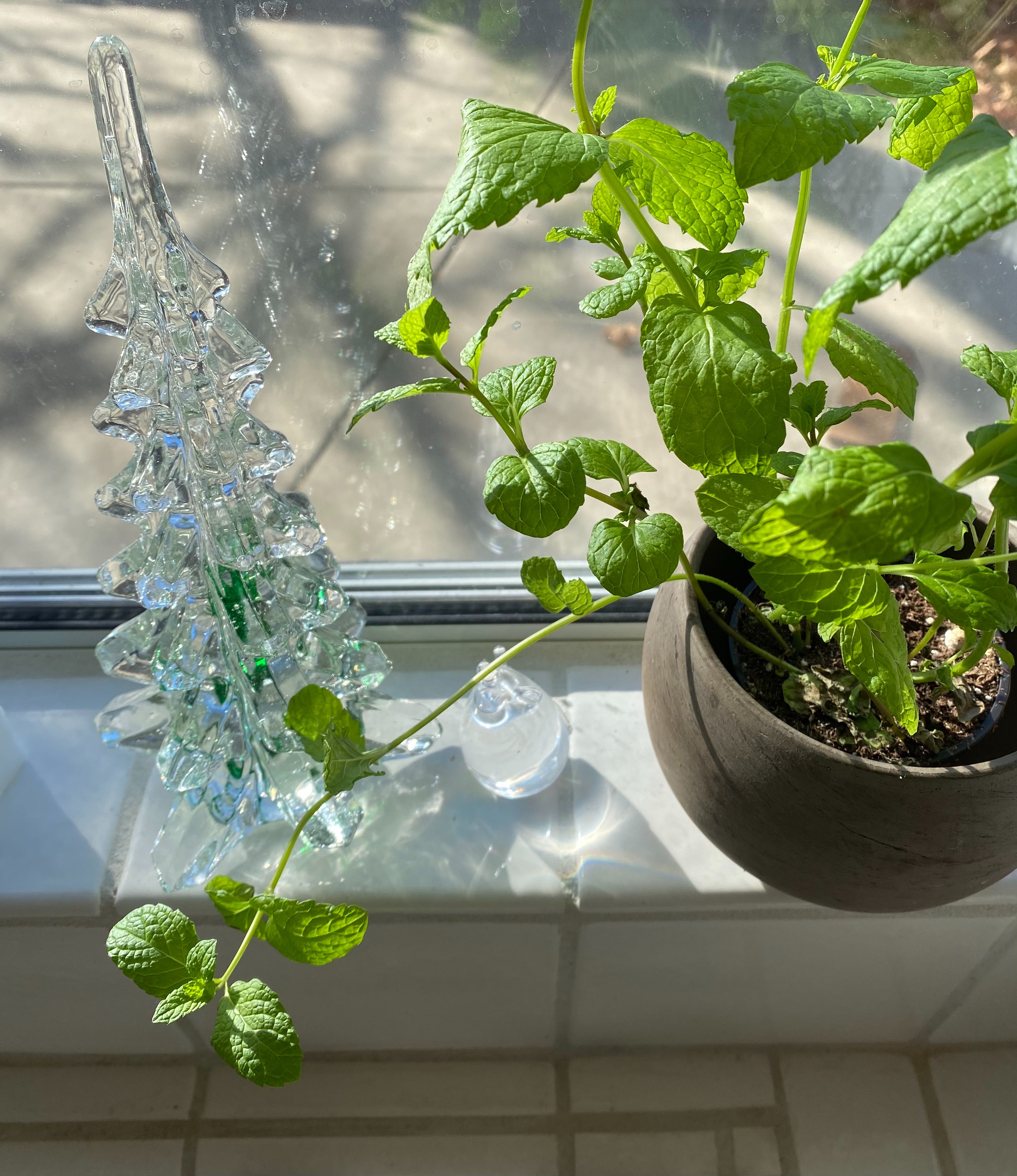 f:id:hitotoshoku:20201215032426j:image f:id:hitotoshoku:20201215032426j:image