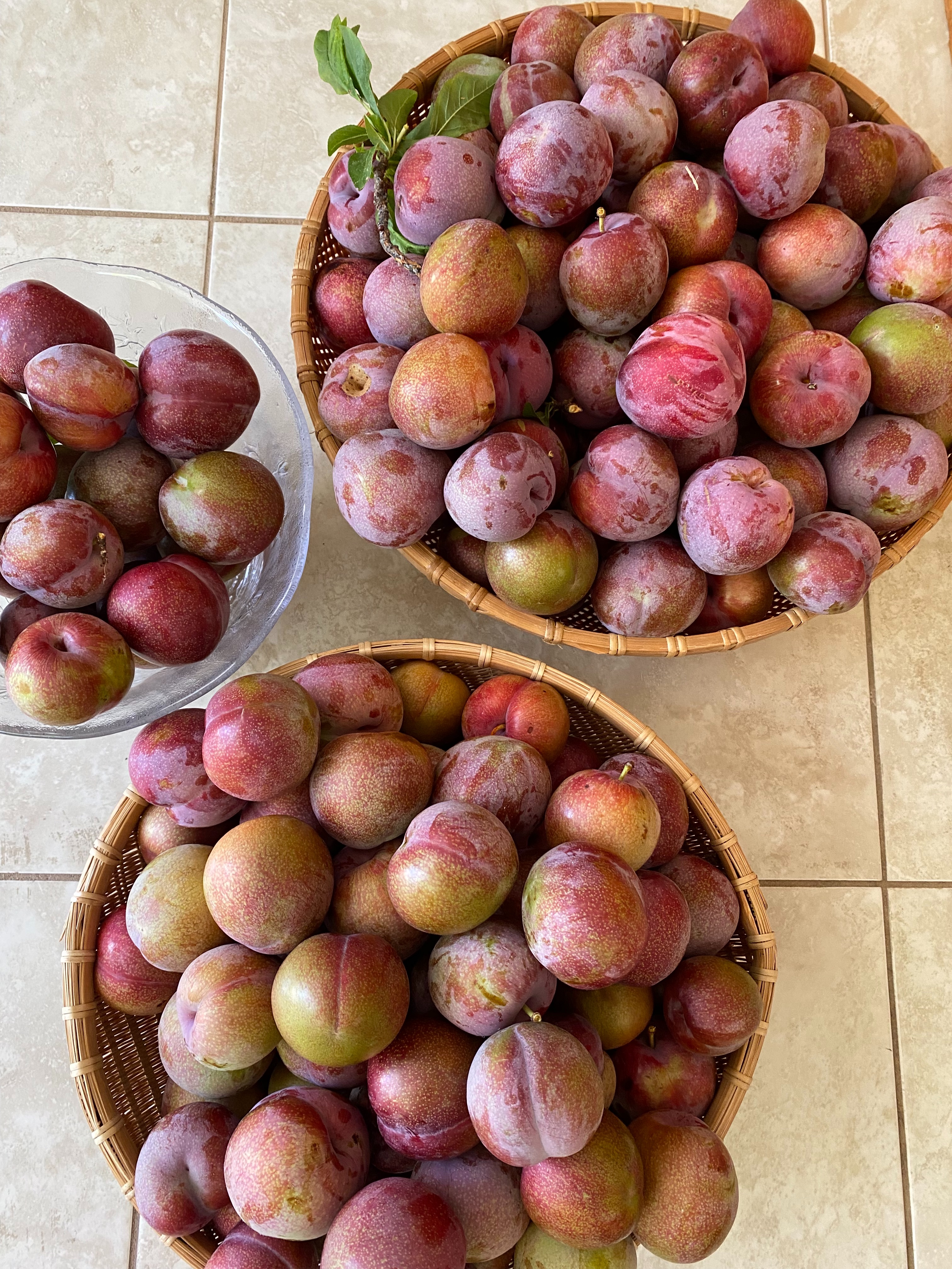 f:id:hitotoshoku:20210710095647j:image f:id:hitotoshoku:20210710095647j:image