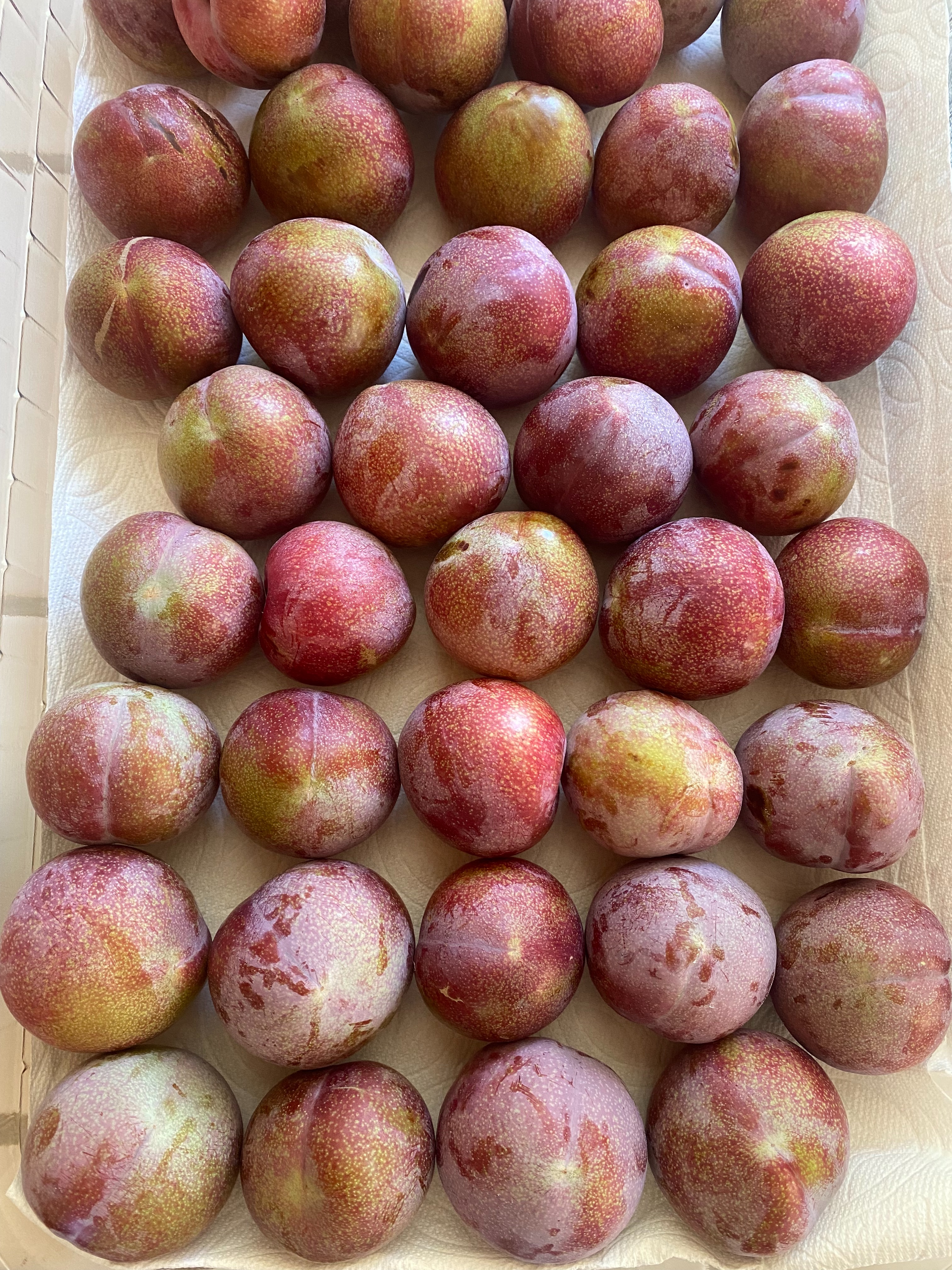 f:id:hitotoshoku:20210710125103j:image f:id:hitotoshoku:20210710125103j:image