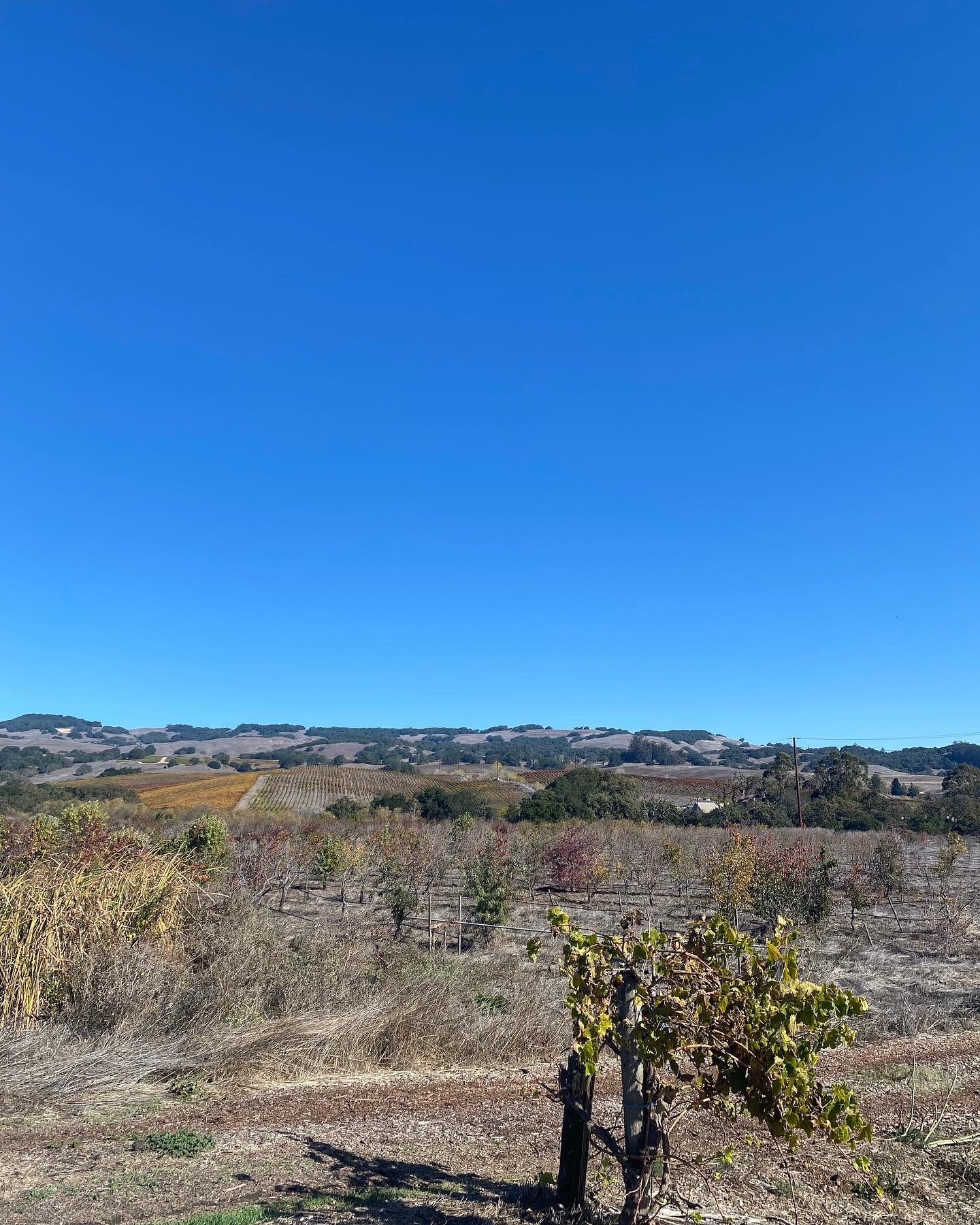 f:id:hitotoshoku:20221115030631j:image