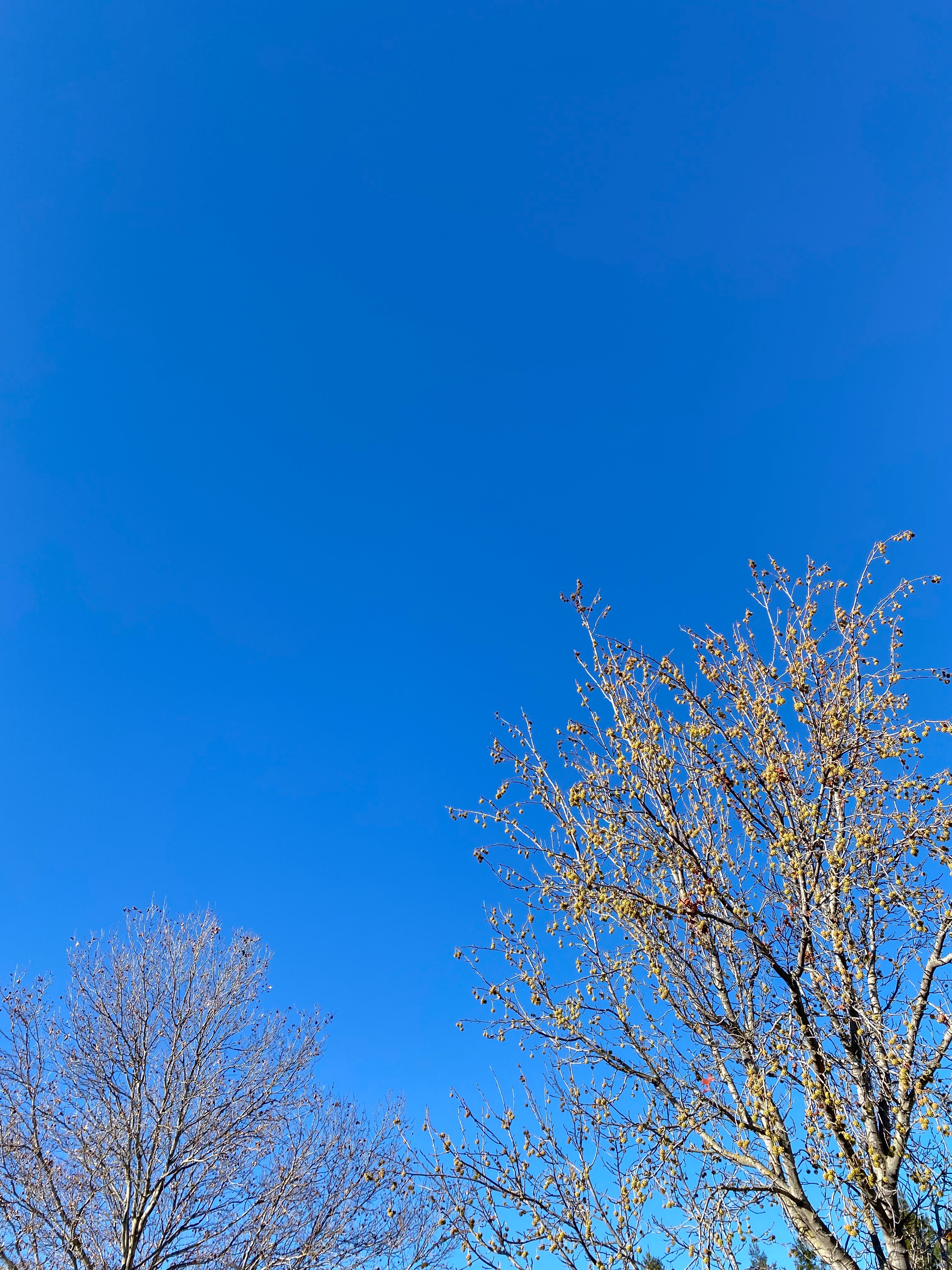 f:id:hitotoshoku:20221214030345j:image f:id:hitotoshoku:20221214030345j:image