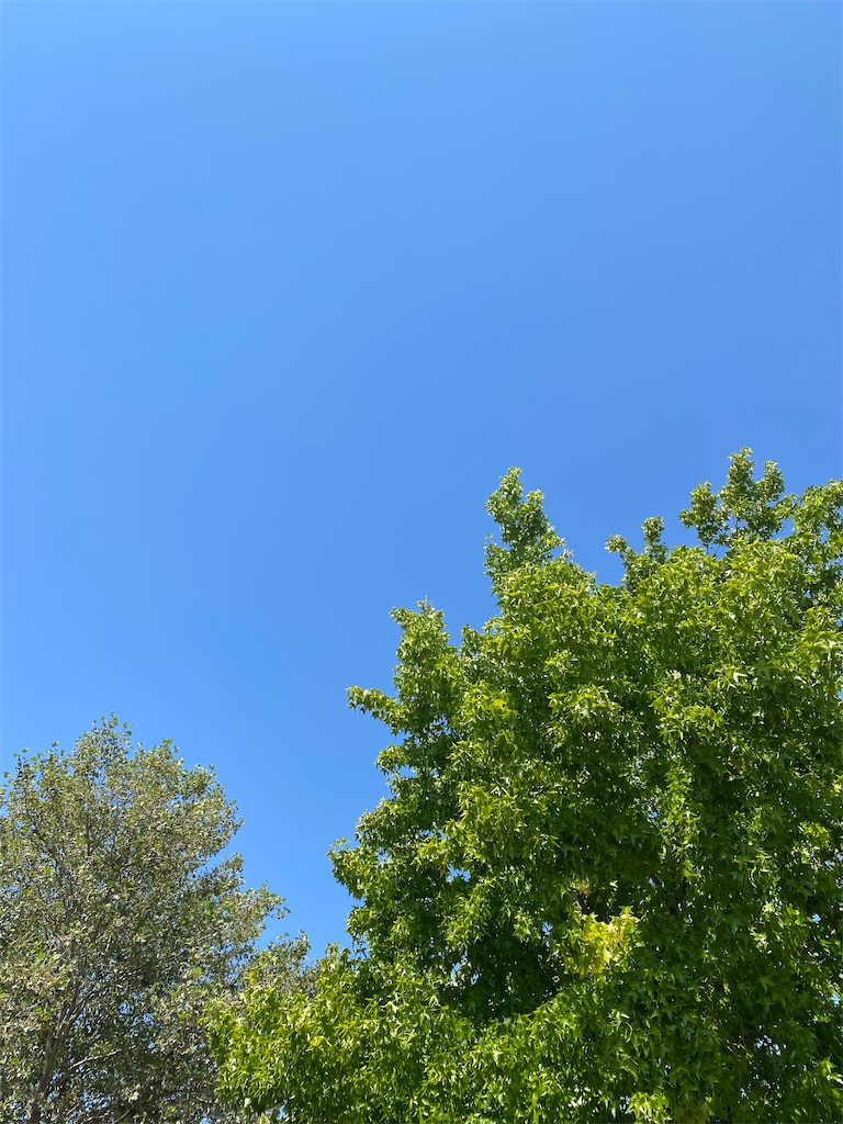 f:id:hitotoshoku:20240721032741j:image f:id:hitotoshoku:20240721032741j:image
