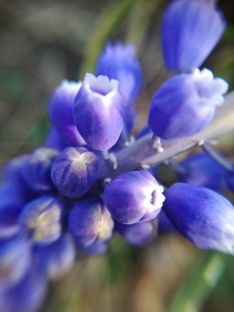 f:id:hitototema:20180410023746j:image f:id:hitototema:20180410023746j:image