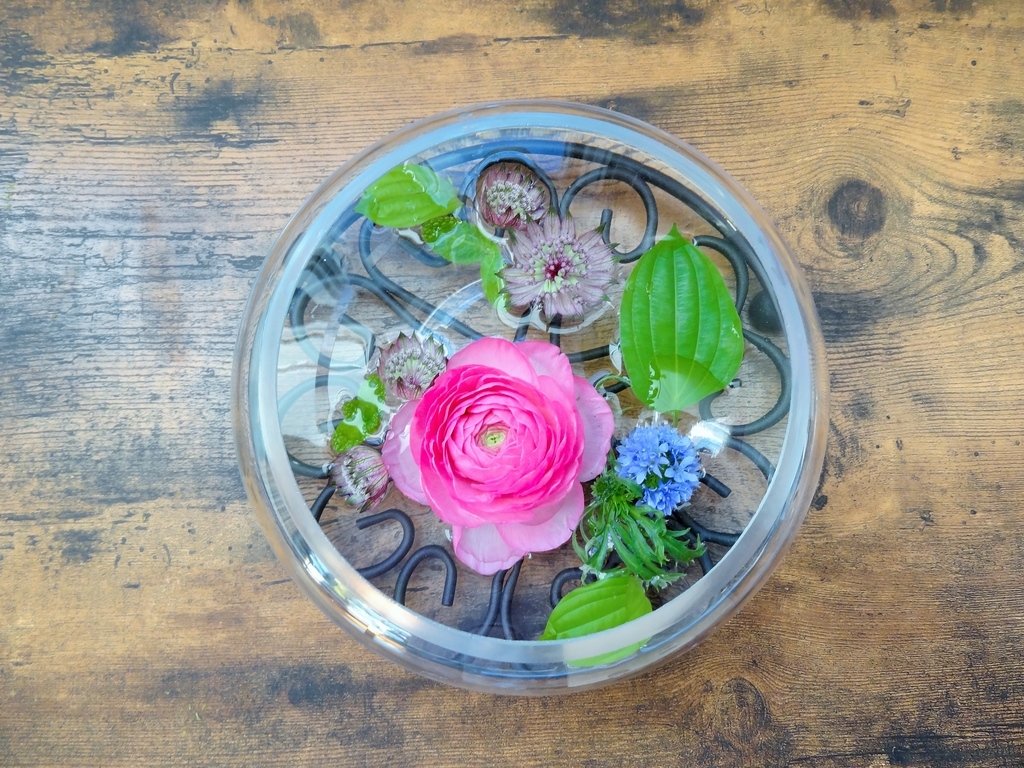 f:id:hitotsubogreen:20190101204903j:plain f:id:hitotsubogreen:20190101204903j:plain