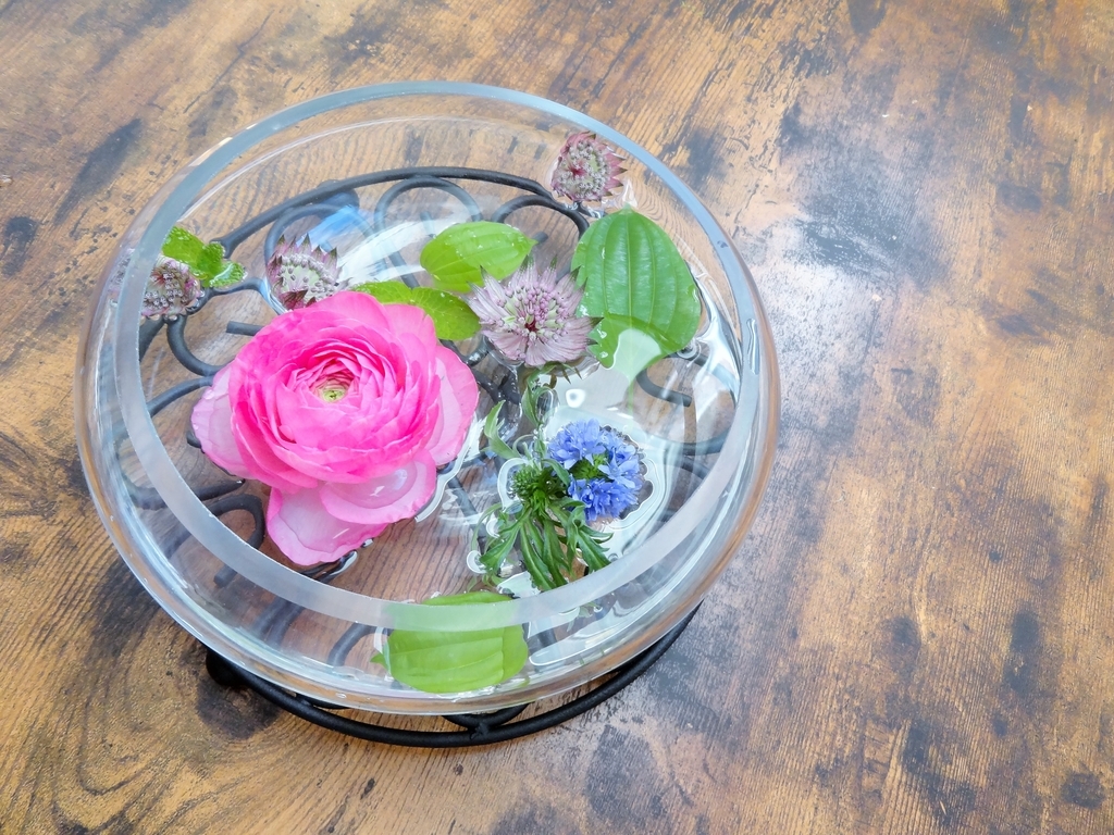 f:id:hitotsubogreen:20190101205226j:plain f:id:hitotsubogreen:20190101205226j:plain