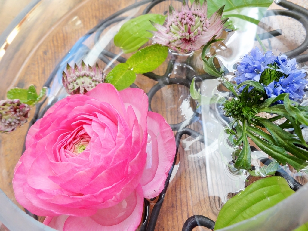 f:id:hitotsubogreen:20190101205338j:plain f:id:hitotsubogreen:20190101205338j:plain