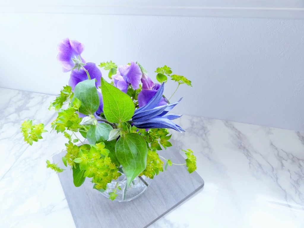 f:id:hitotsubogreen:20190108212757j:plain f:id:hitotsubogreen:20190108212757j:plain