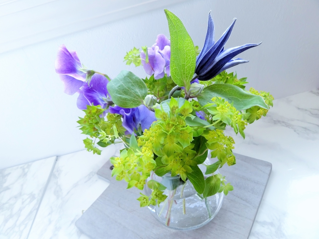 f:id:hitotsubogreen:20190108212852j:plain f:id:hitotsubogreen:20190108212852j:plain