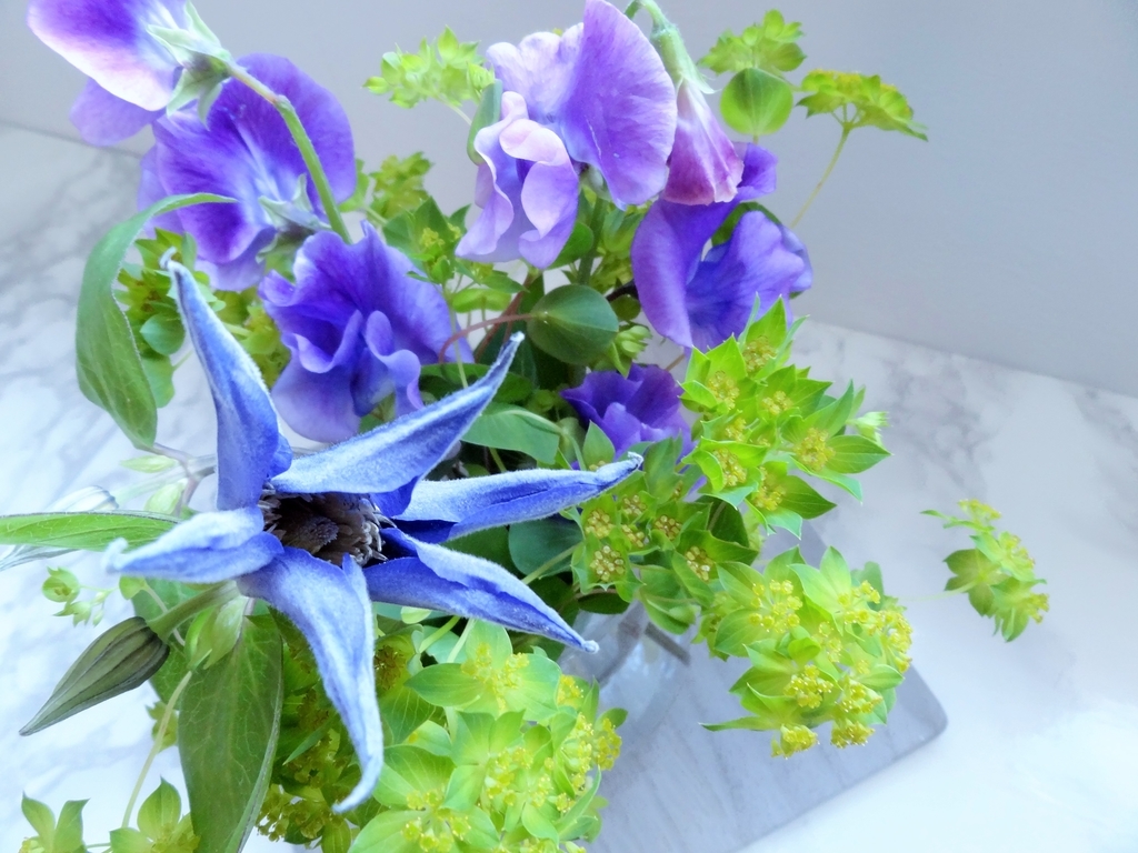 f:id:hitotsubogreen:20190108212935j:plain f:id:hitotsubogreen:20190108212935j:plain