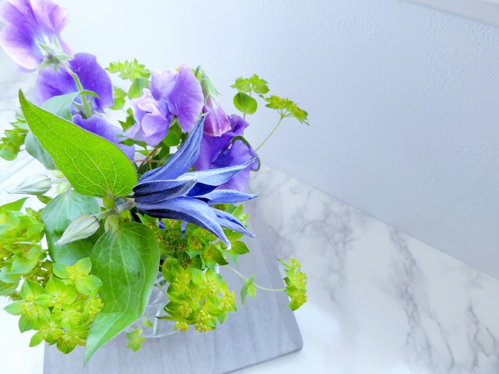 f:id:hitotsubogreen:20190108213017j:plain f:id:hitotsubogreen:20190108213017j:plain