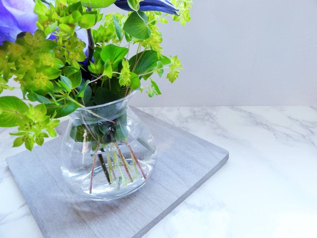 f:id:hitotsubogreen:20190108213114j:plain f:id:hitotsubogreen:20190108213114j:plain